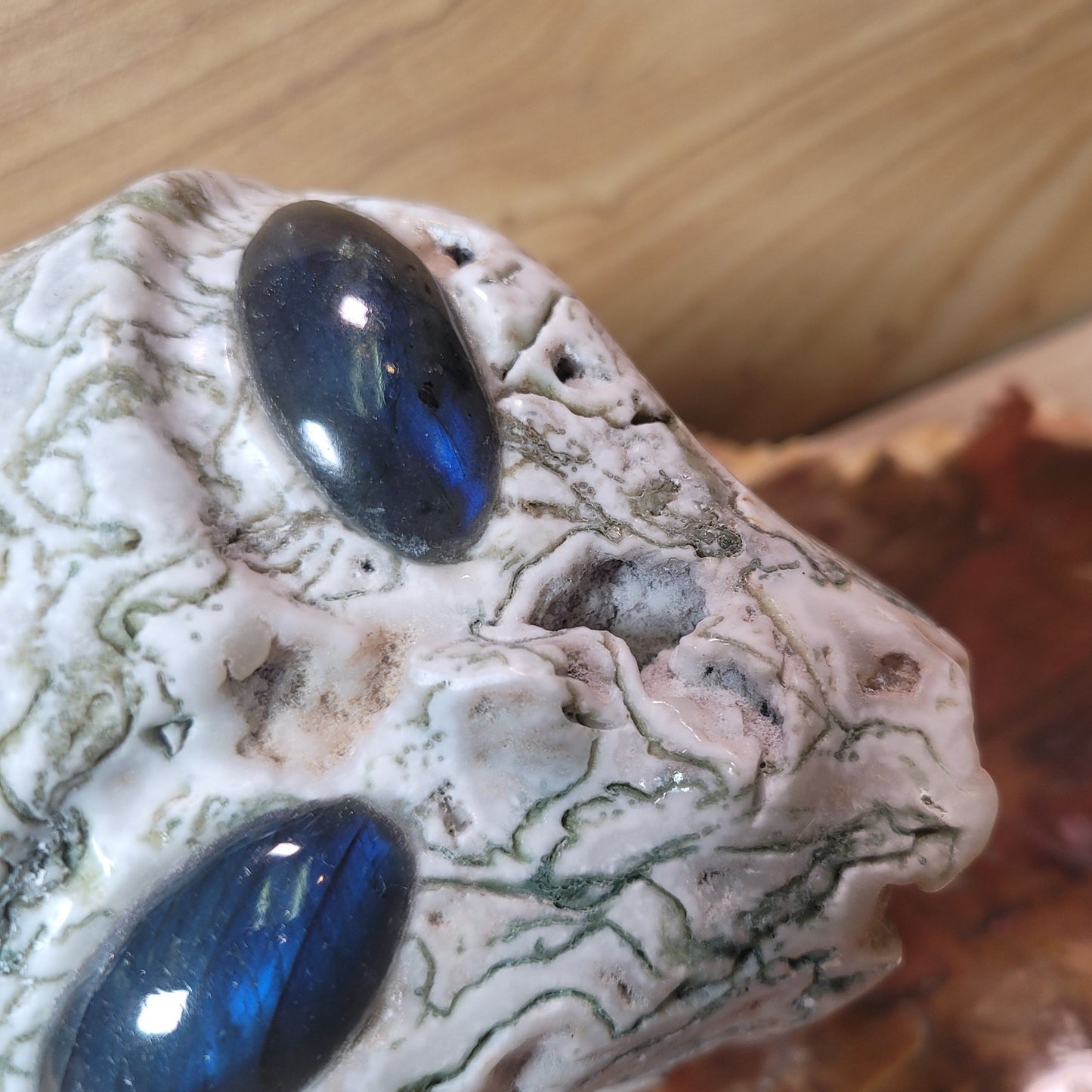 Tree Agate w Labradorite 4.2" Alien