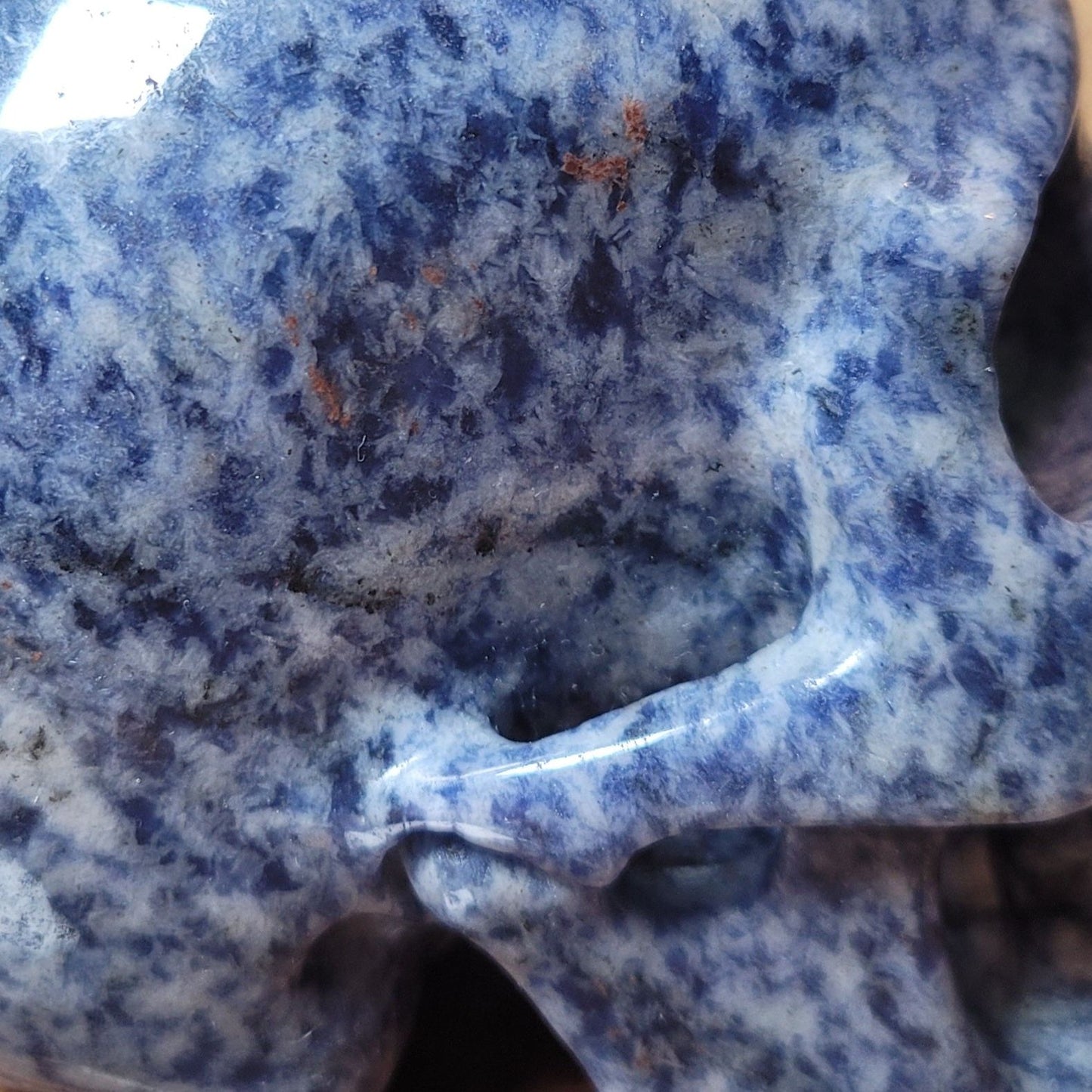 Sodalite 5" Skull
