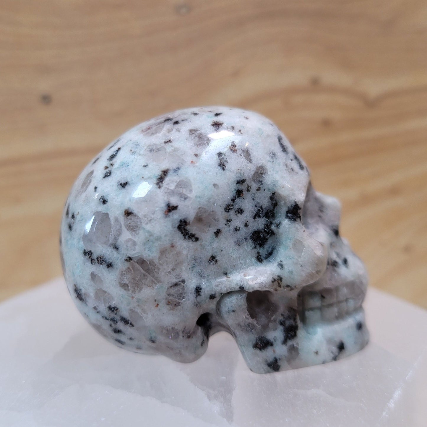 Lotus Jasper 2" Skull