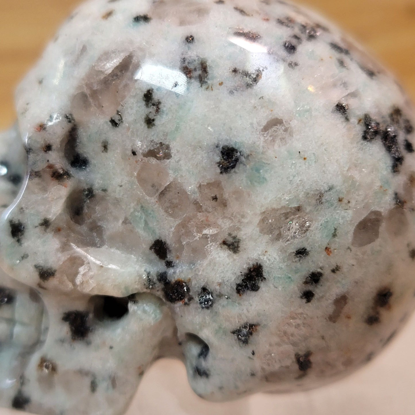 Lotus Jasper 2" Skull
