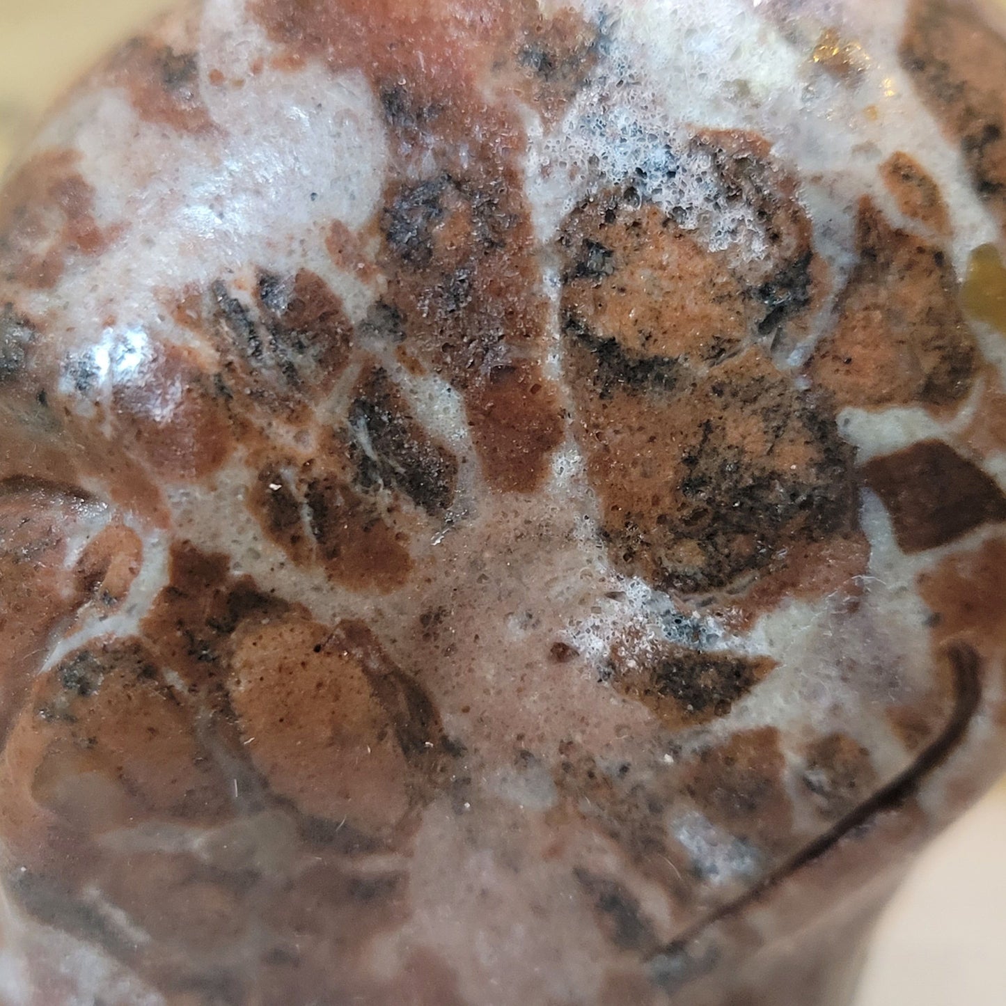 Leopard Skin Jasper 2" Alien