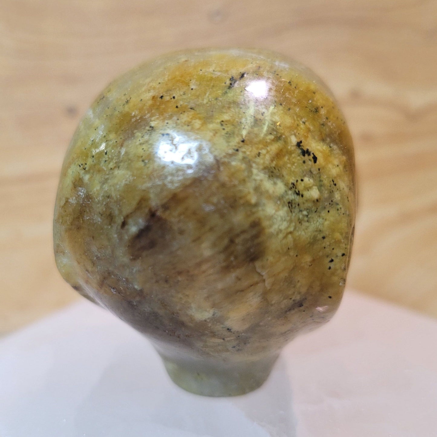 Serpentine 2" Alien