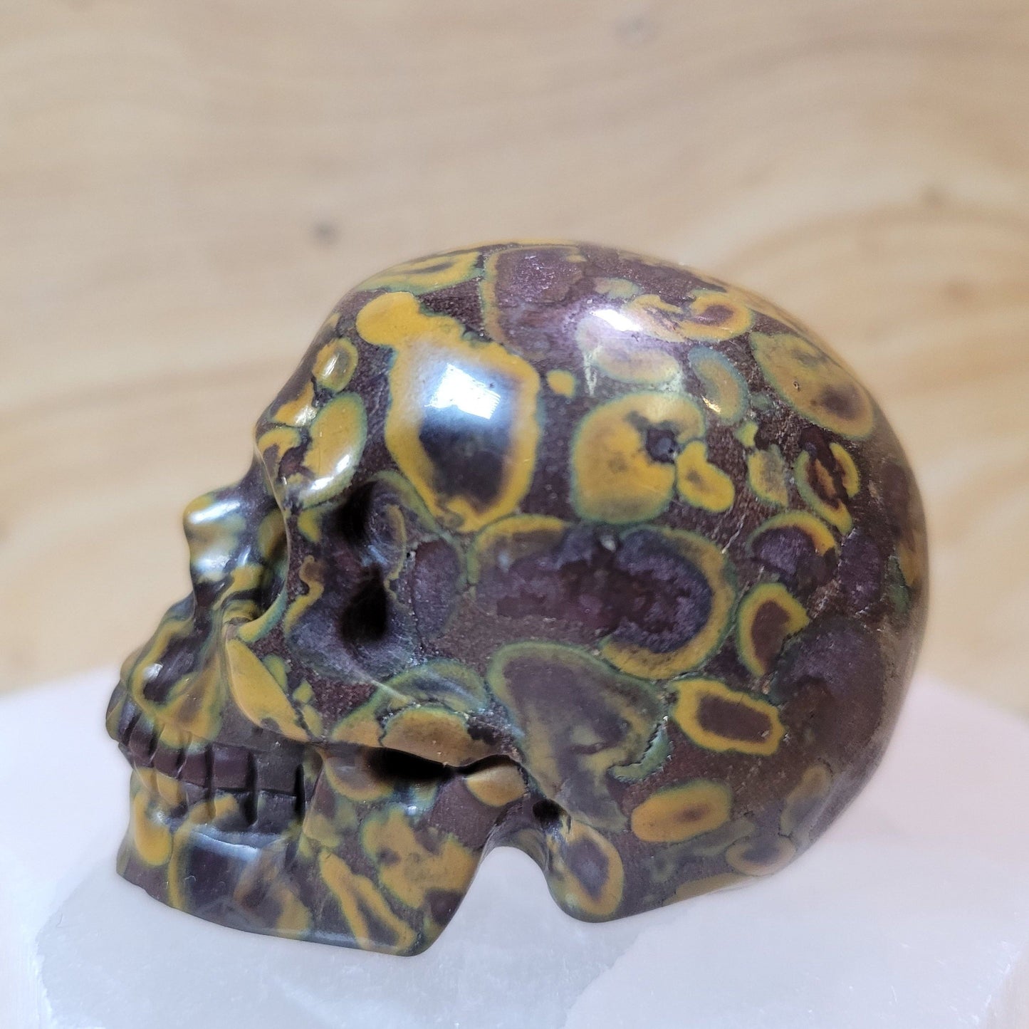 India Fossil Stone 2" Skull