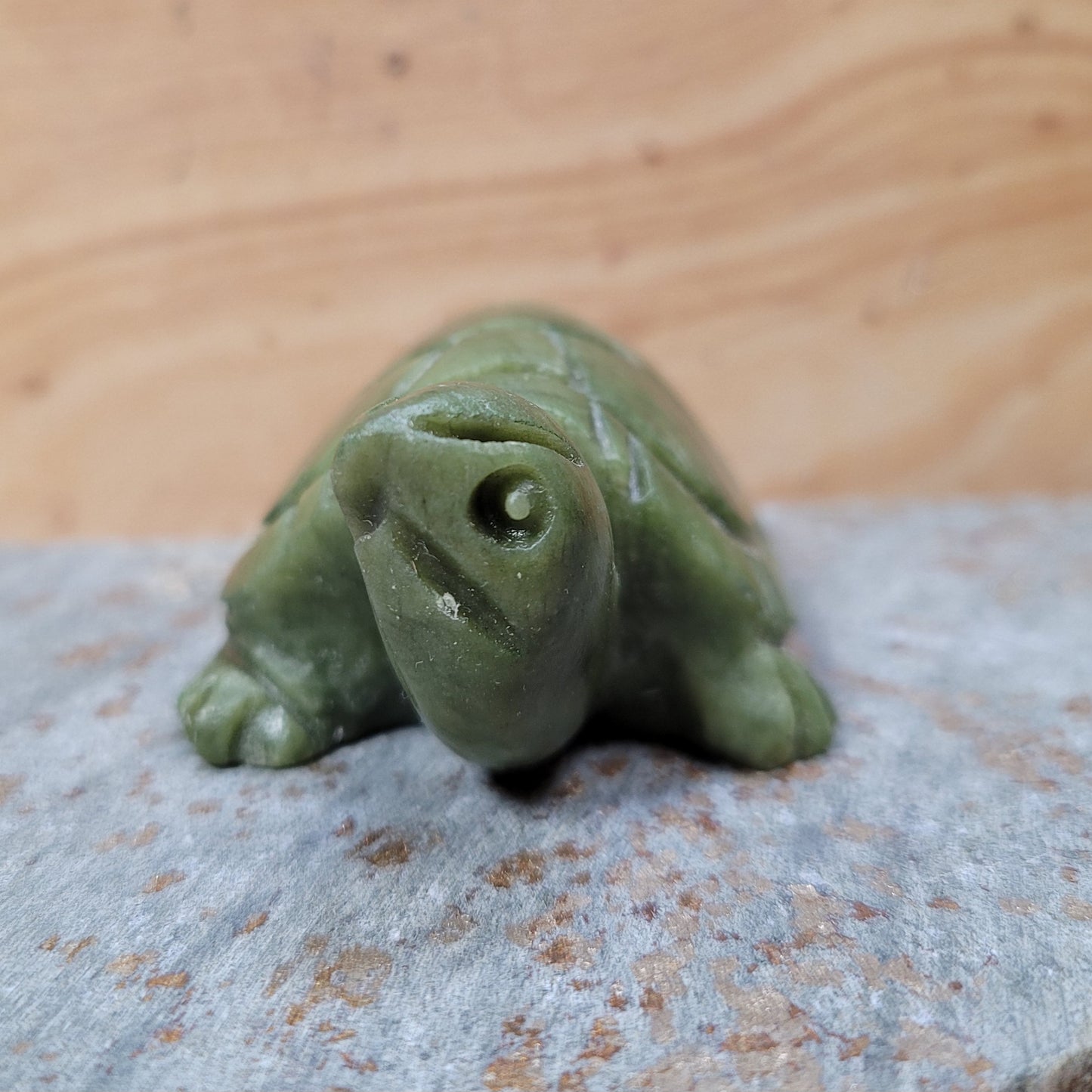 Verdite Turtle