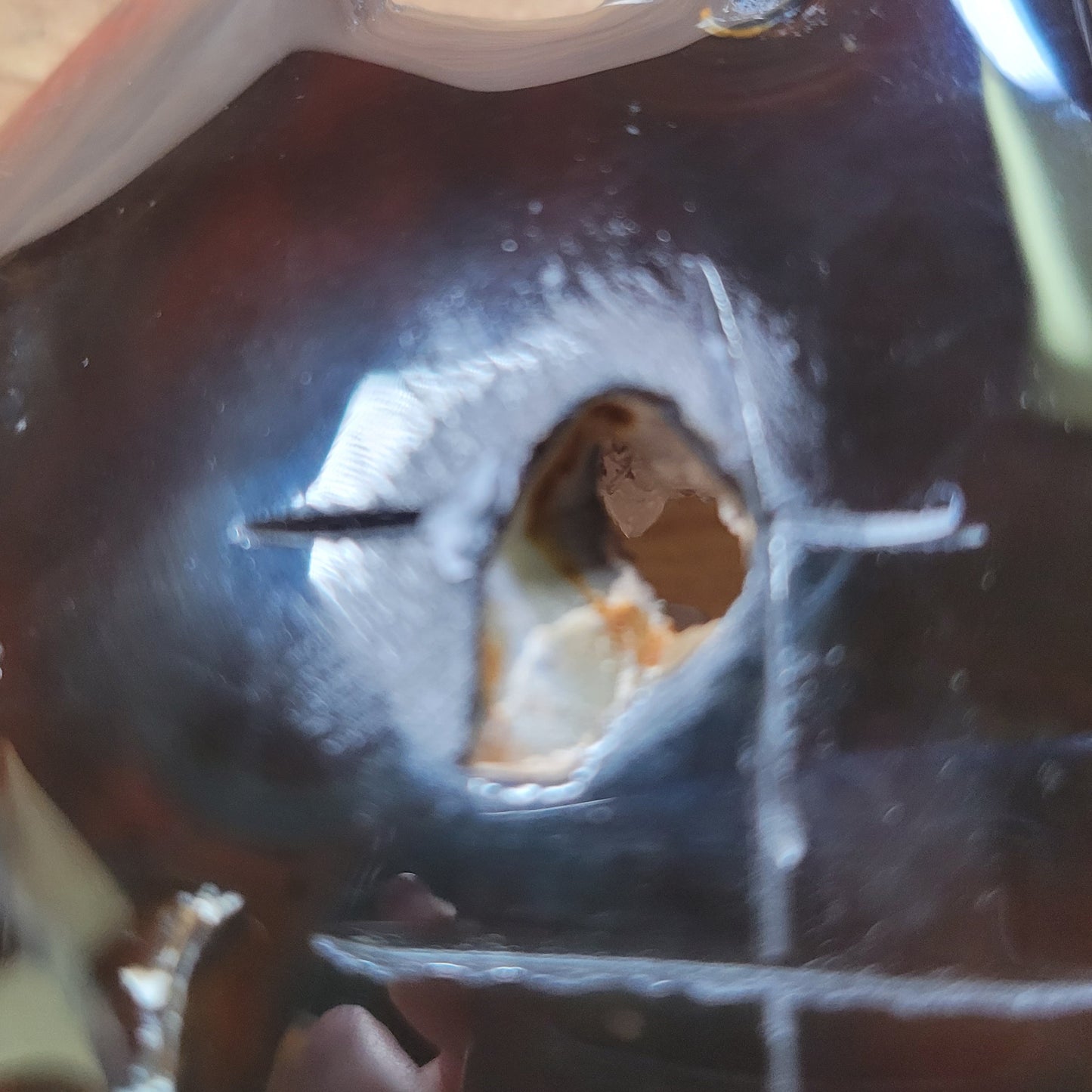 Carnelian & Quartz Turtle