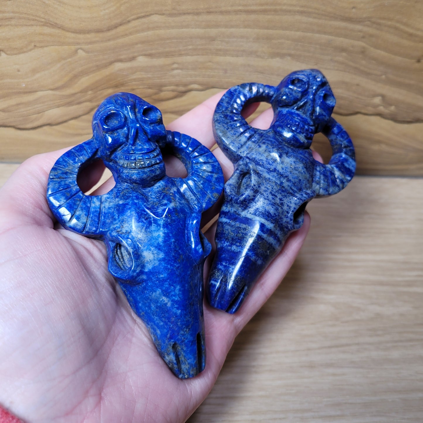 Lapis Lazuli Cow Skull & Skull