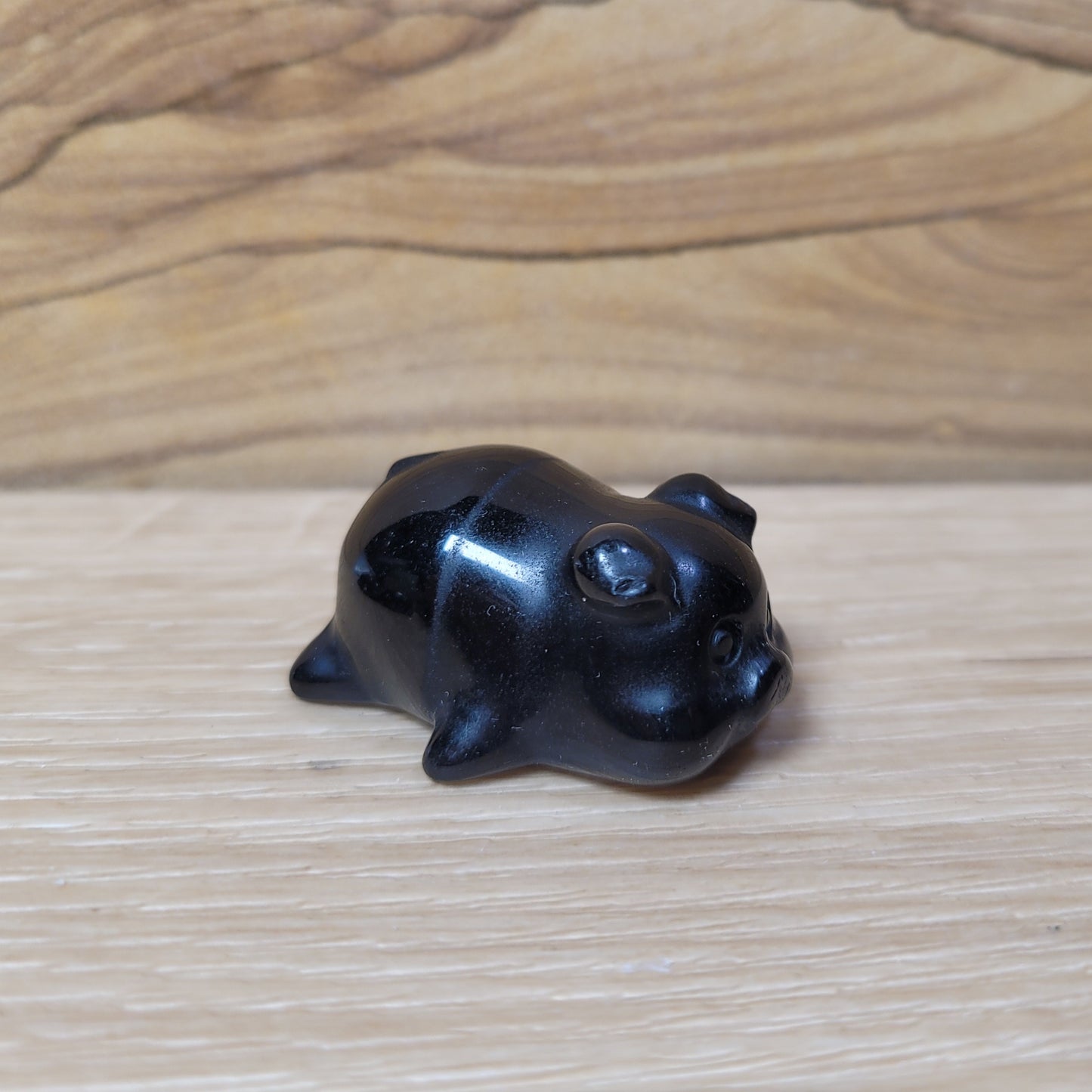 Pig