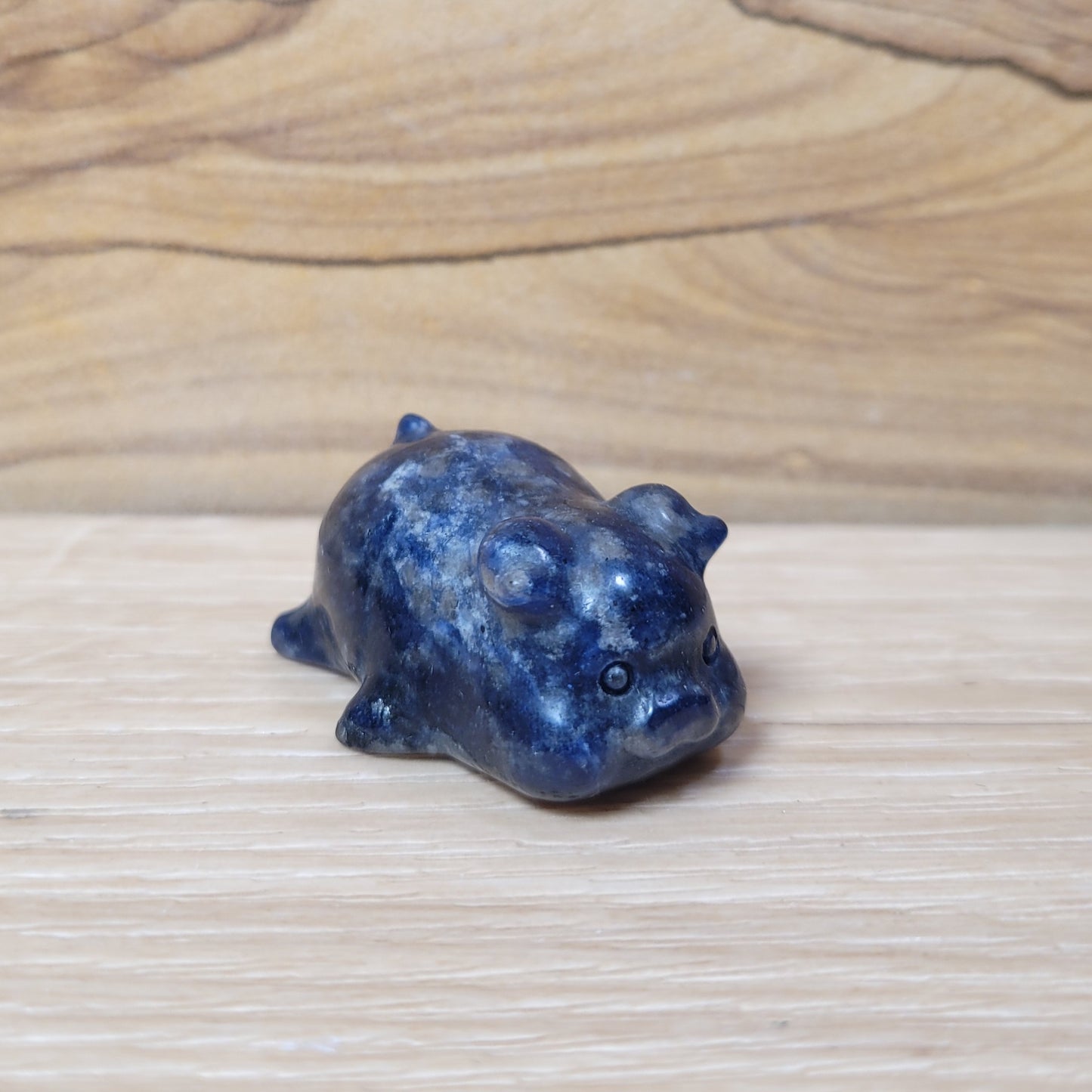 Pig