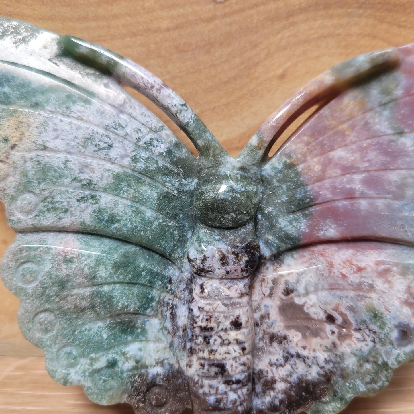 Ocean Jasper Butterfly
