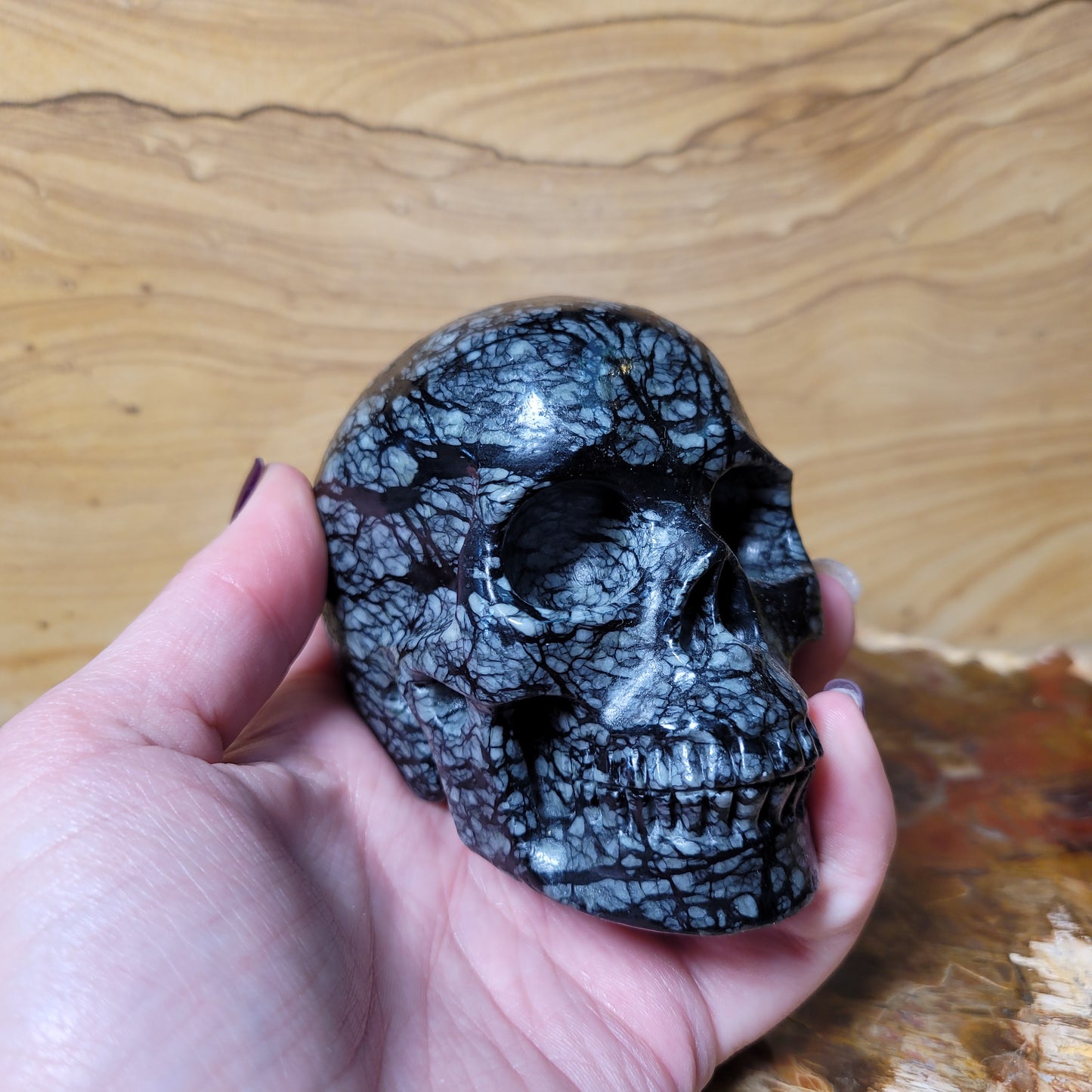 Picasso Jasper 3.7" Skull