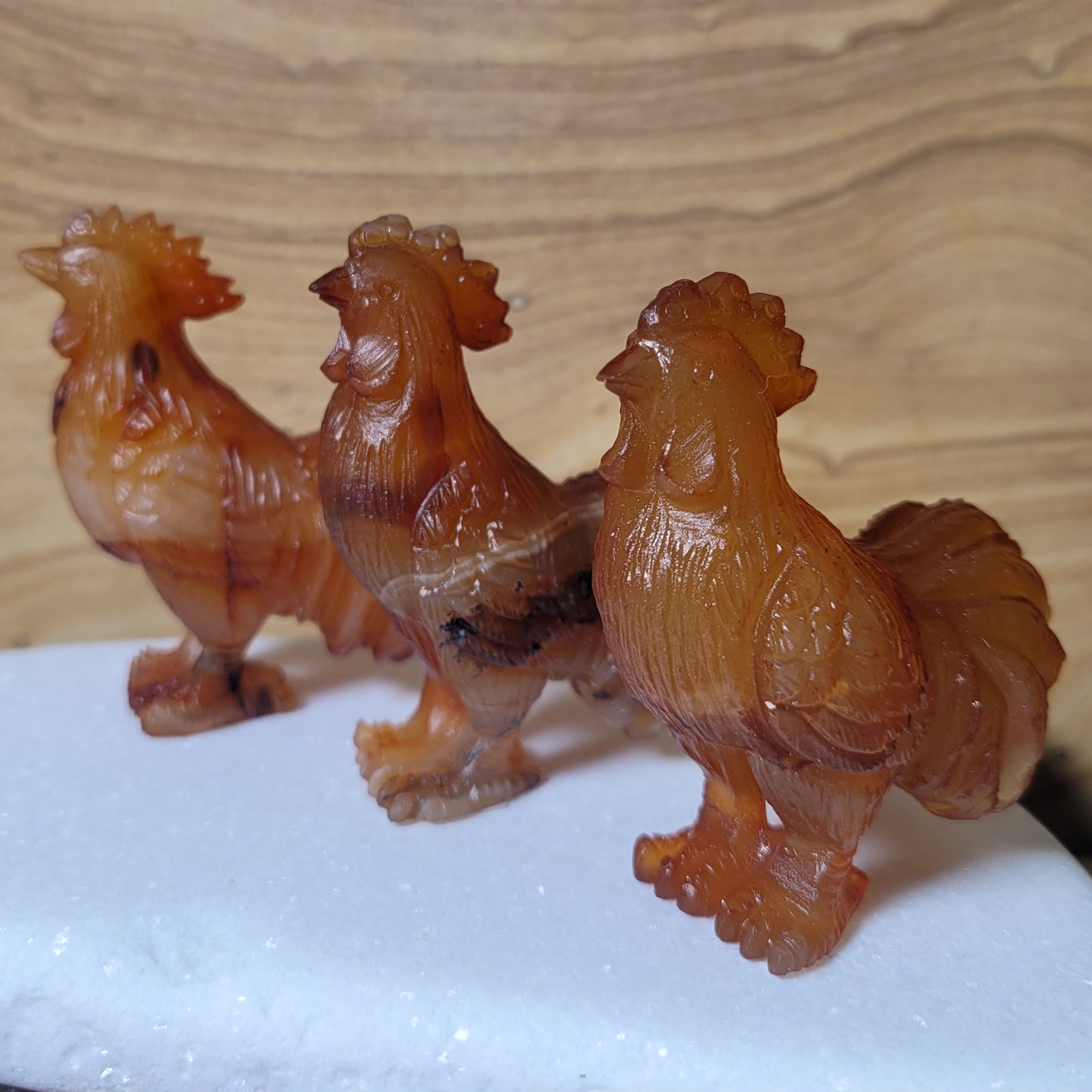 Golden Healer Rooster