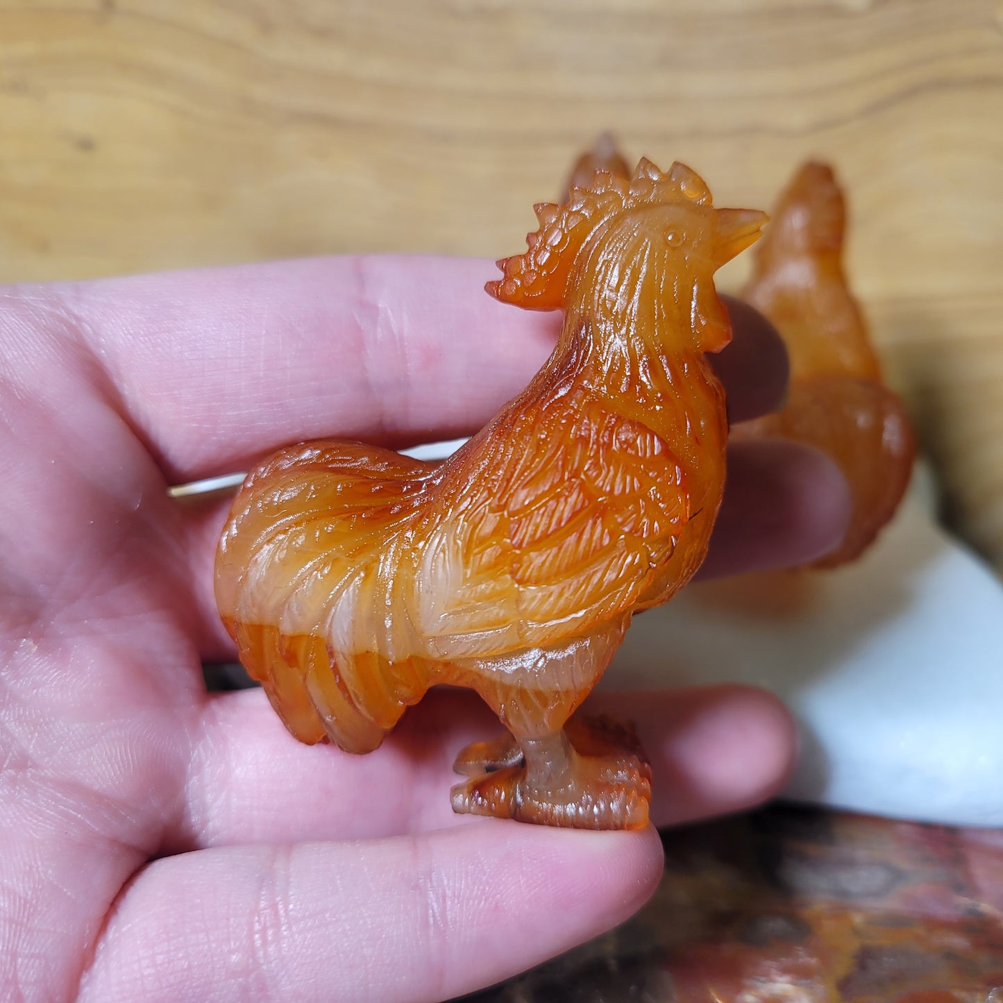 Golden Healer Rooster