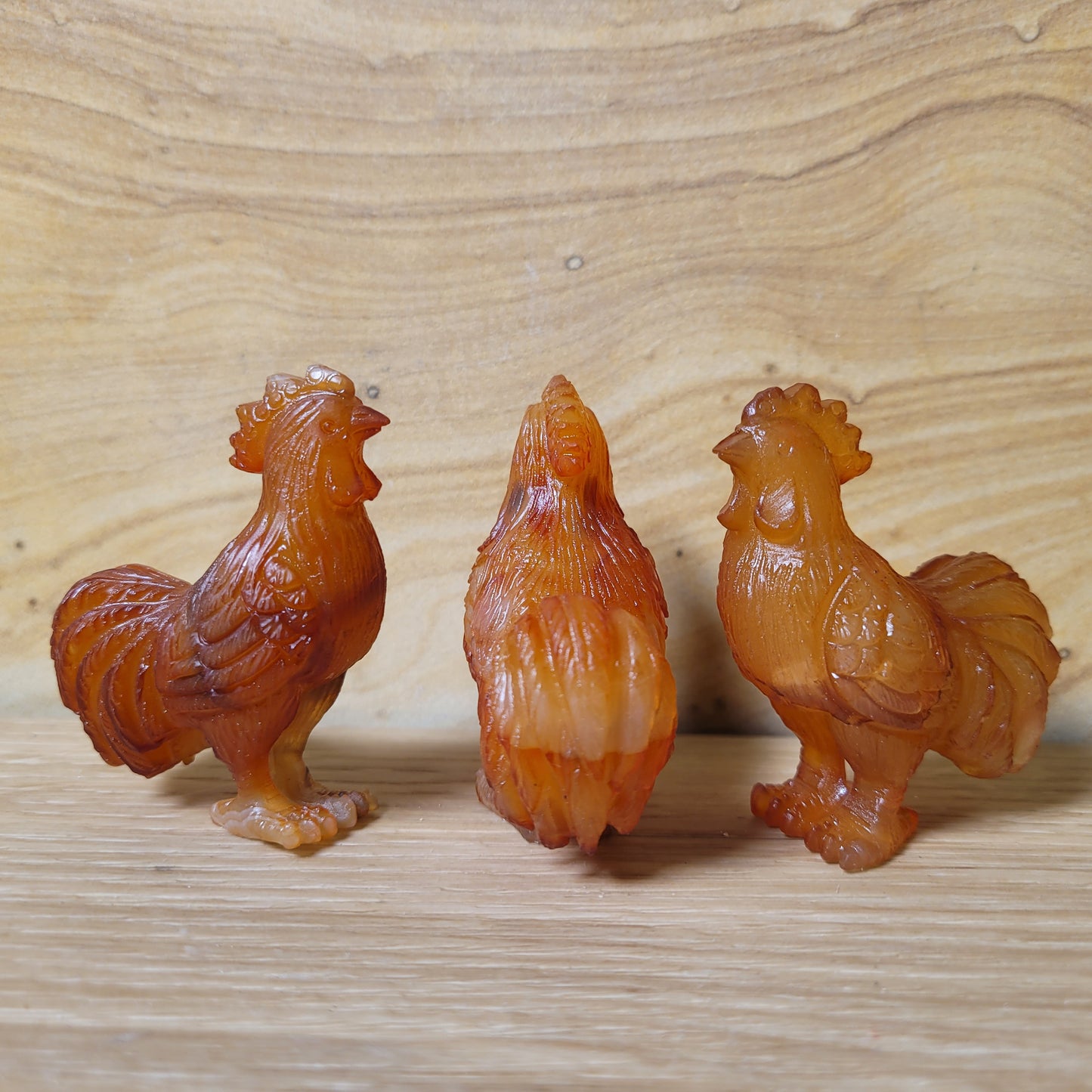 Golden Healer Rooster