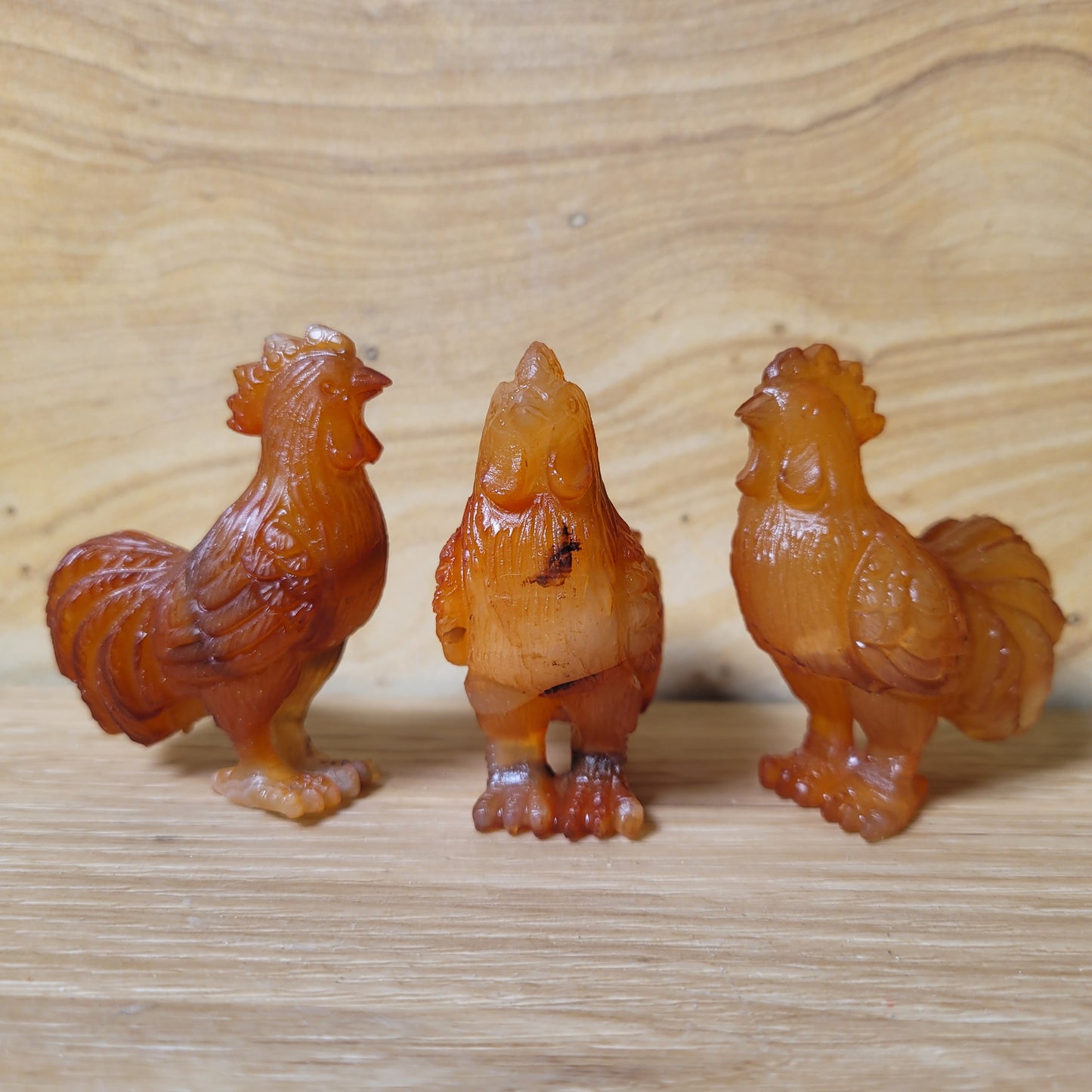 Golden Healer Rooster
