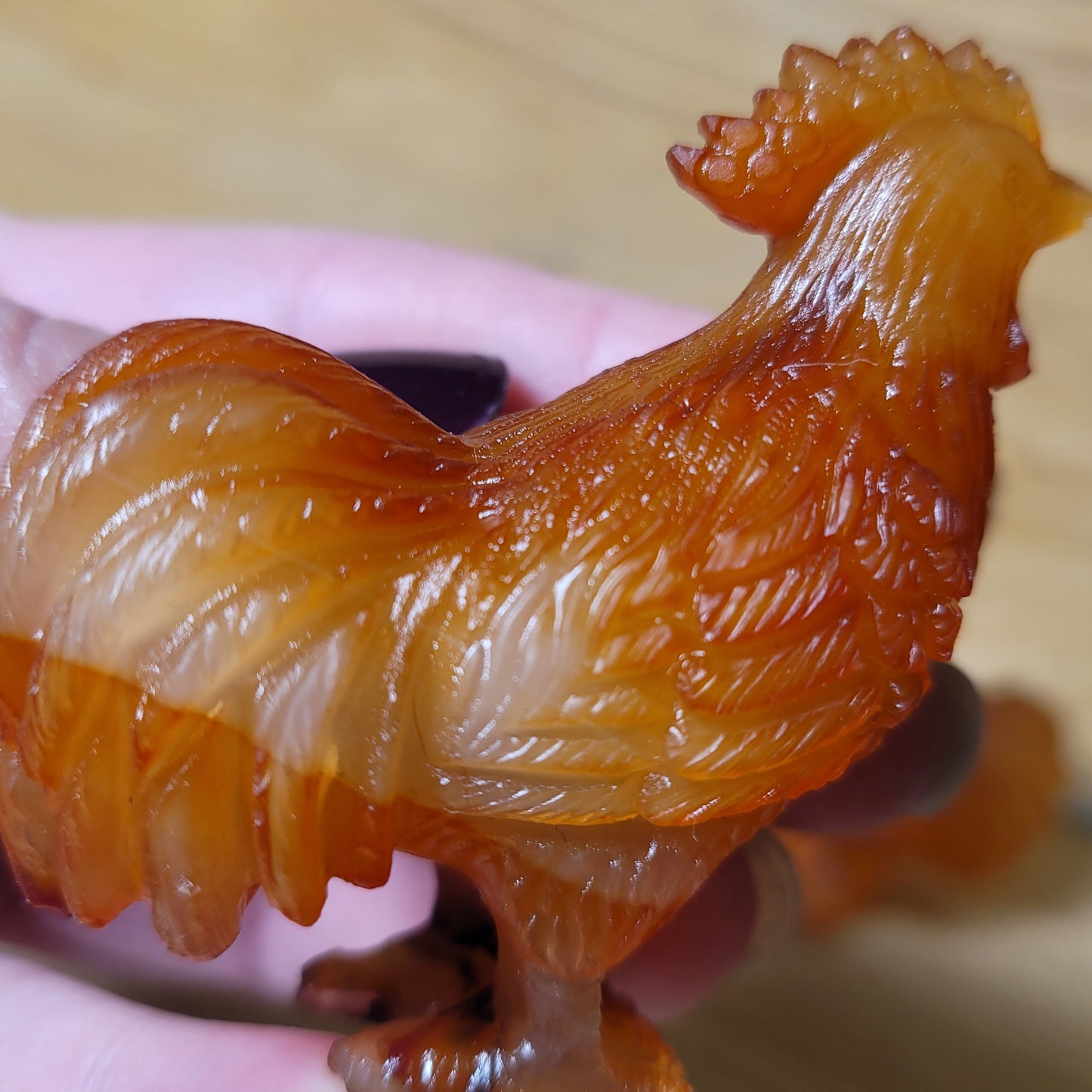 Golden Healer Rooster