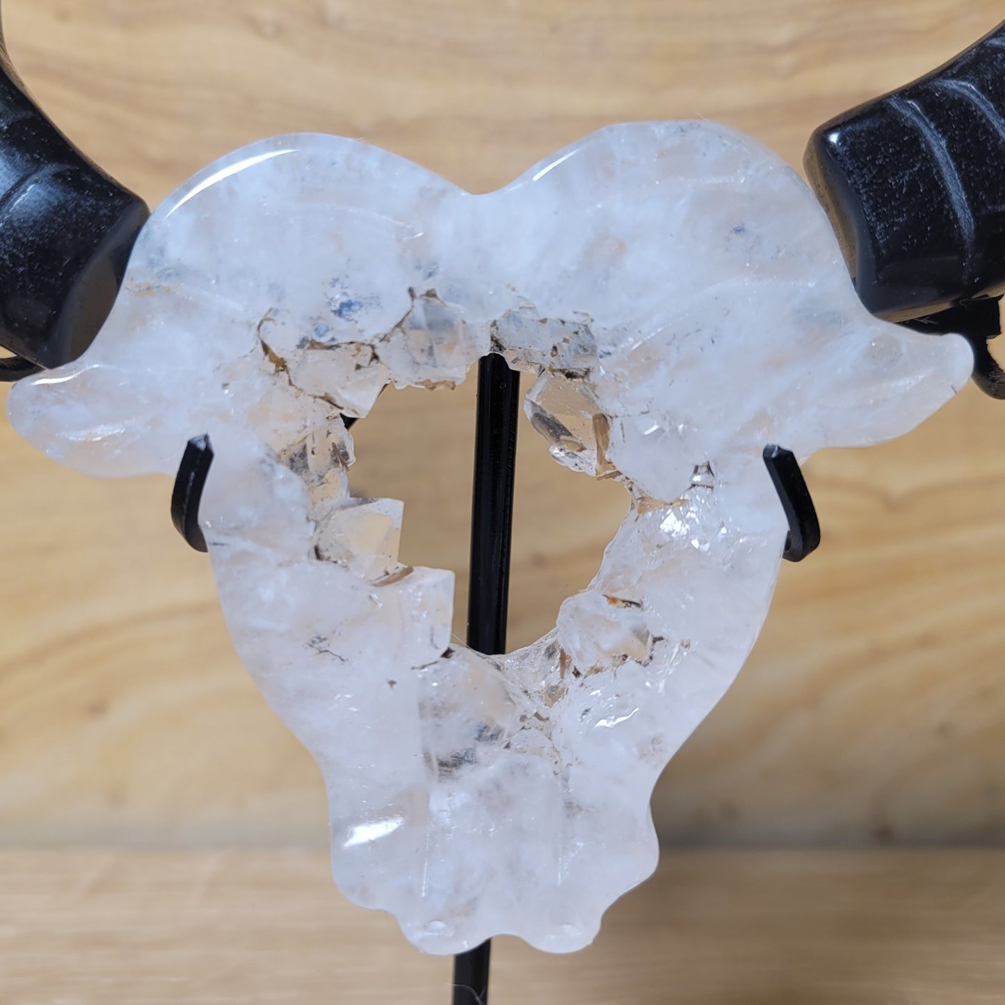 Druzy Agate & Obsidian Bull