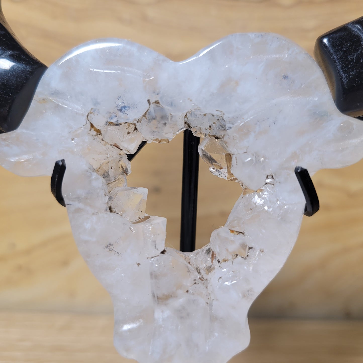 Druzy Agate & Obsidian Bull