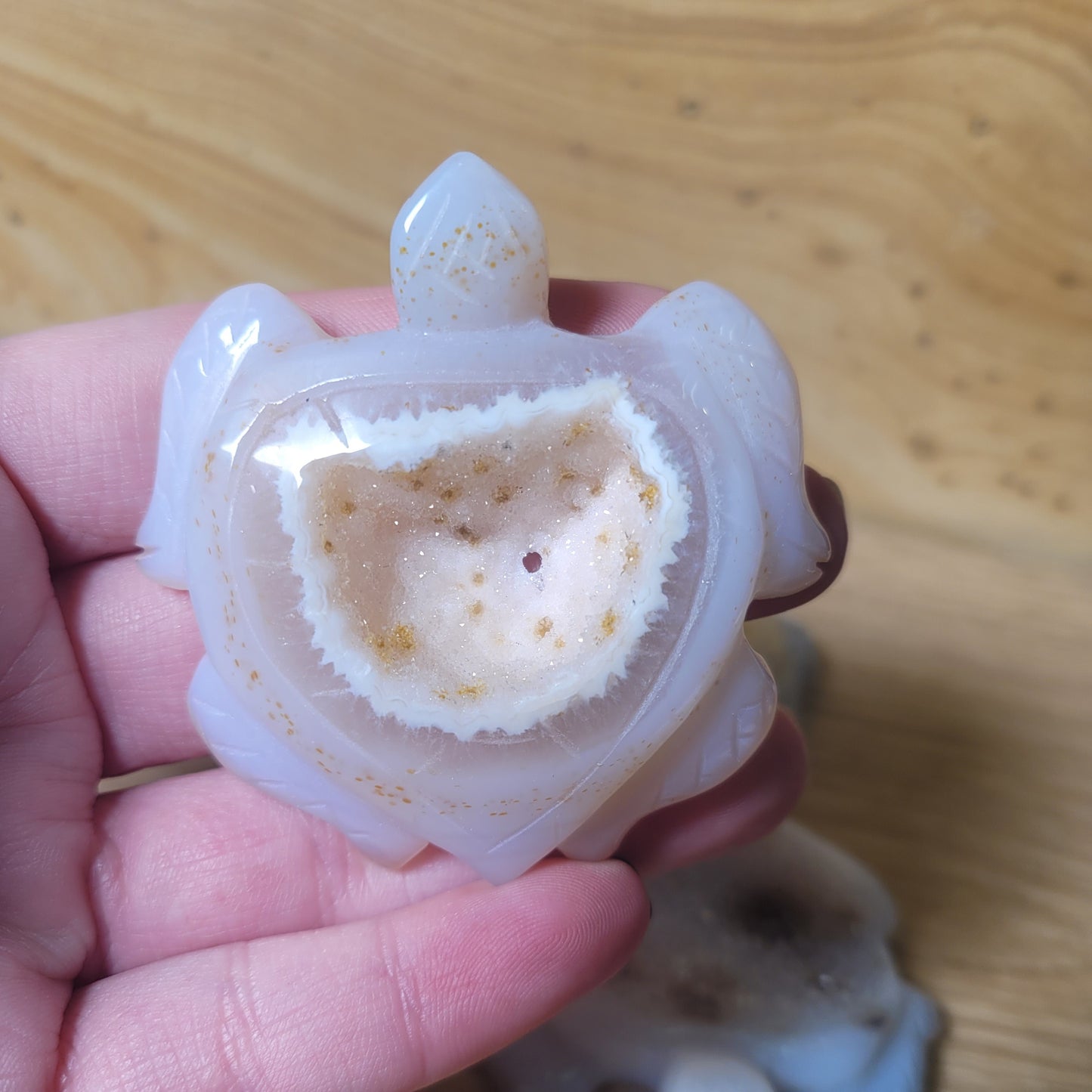Druzy Agate Turtle