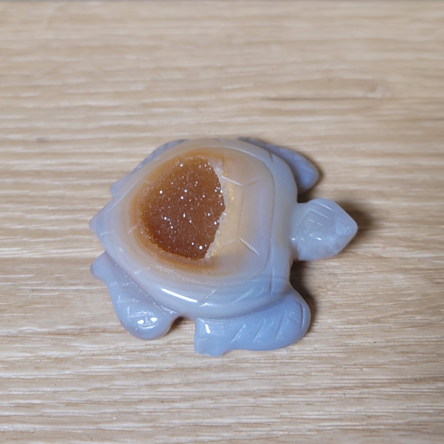 Druzy Agate Turtle