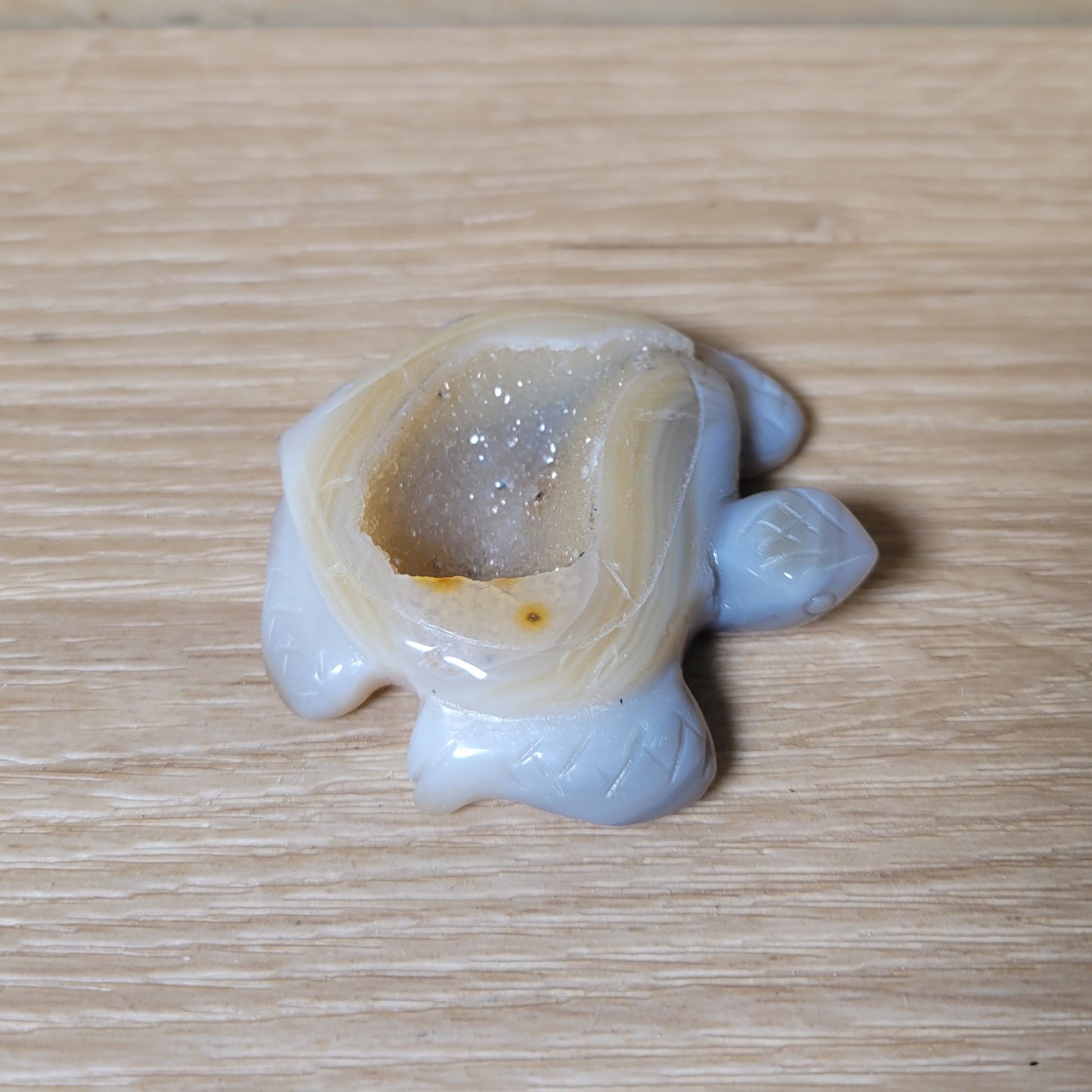 Druzy Agate Turtle