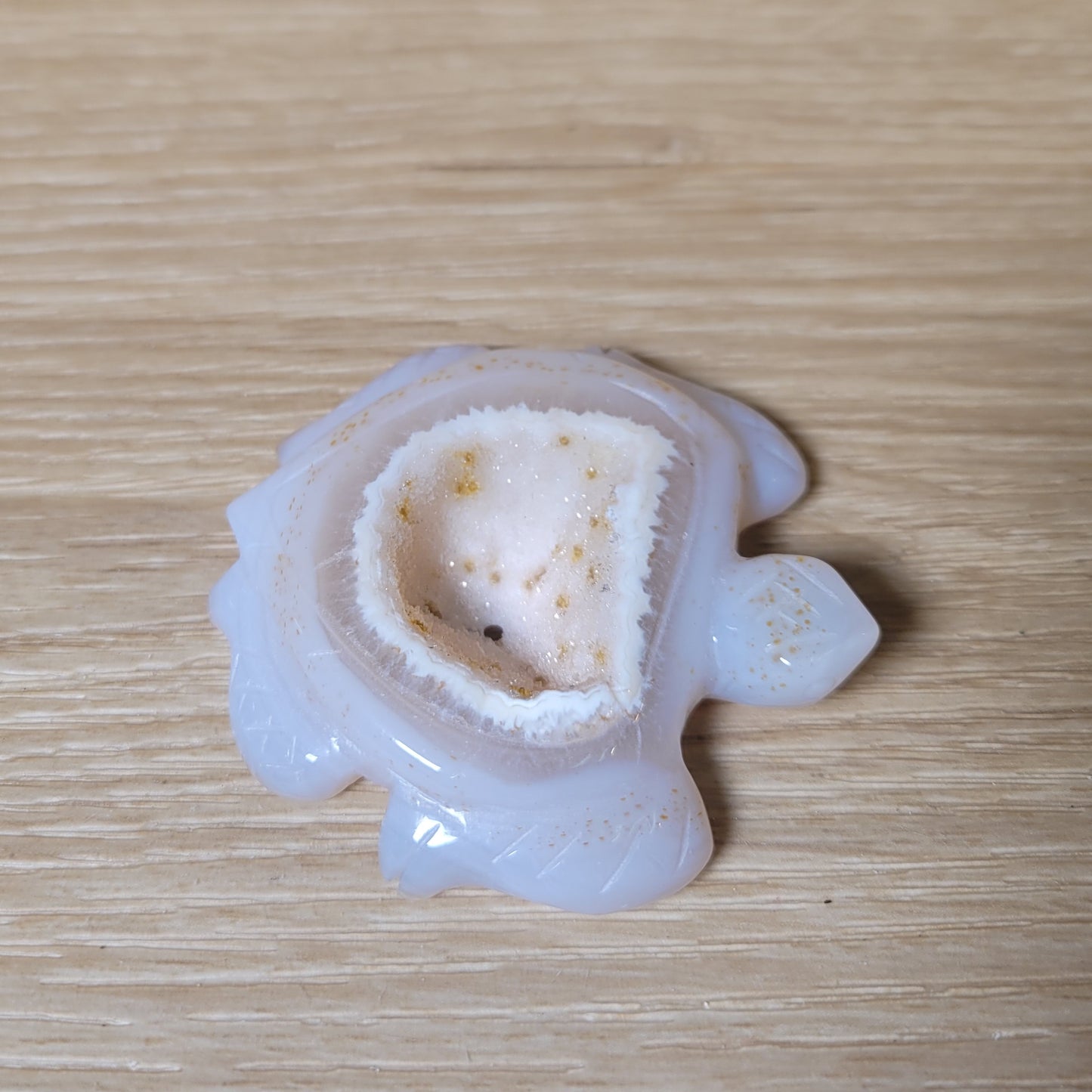 Druzy Agate Turtle