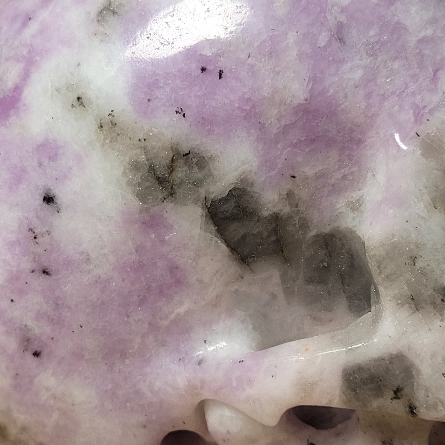 Lepidolite 5" Skull