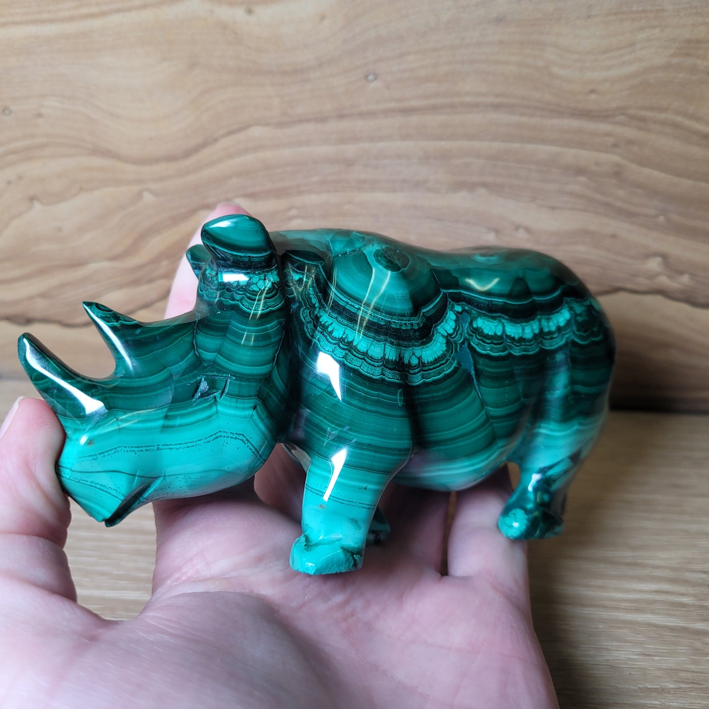 Malachite Rhinoceros
