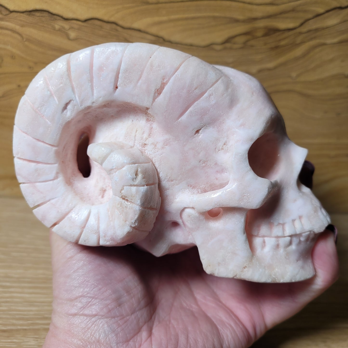 Pink Aragonite Horned Vampire 4.2" Skull