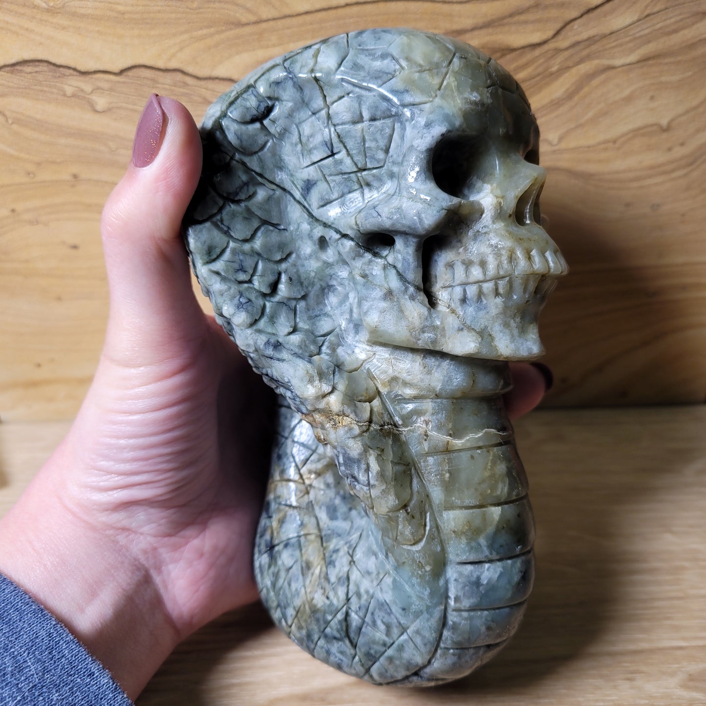Serpentine Cobra Snake 6.3" Skull