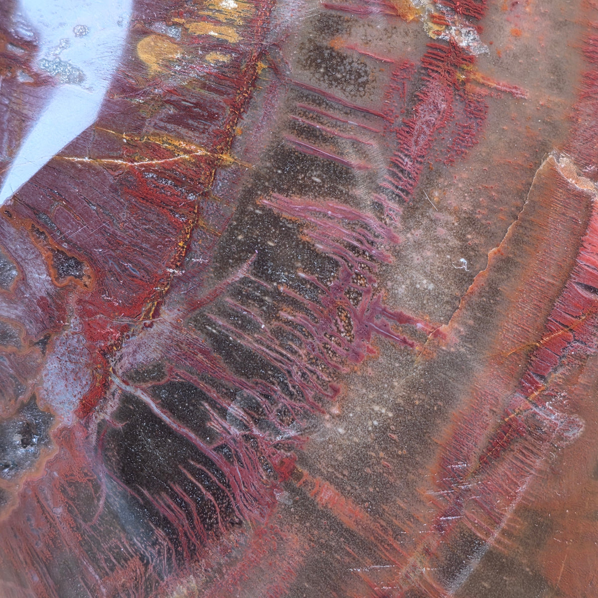 Petrified Wood Flame