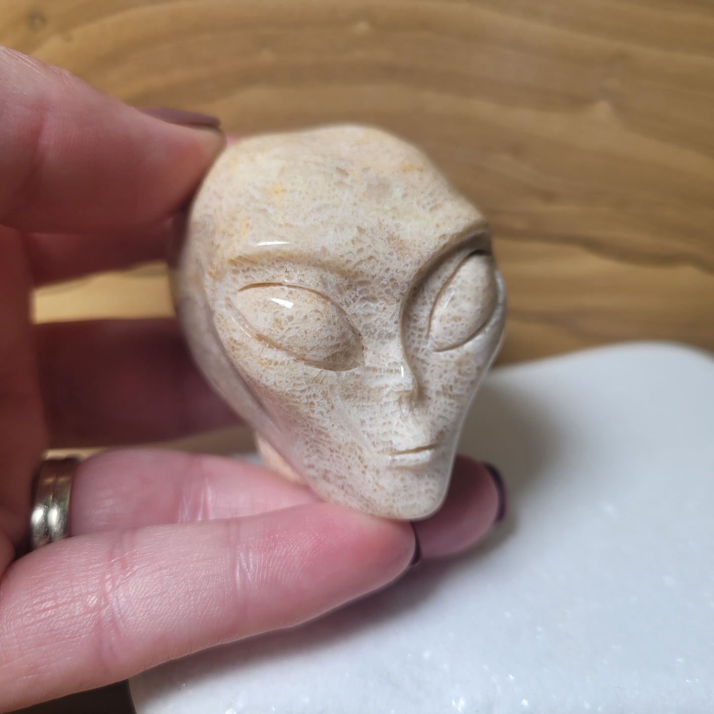 Coral Fossil 2" Alien