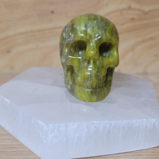 Serpentine 2" Skull