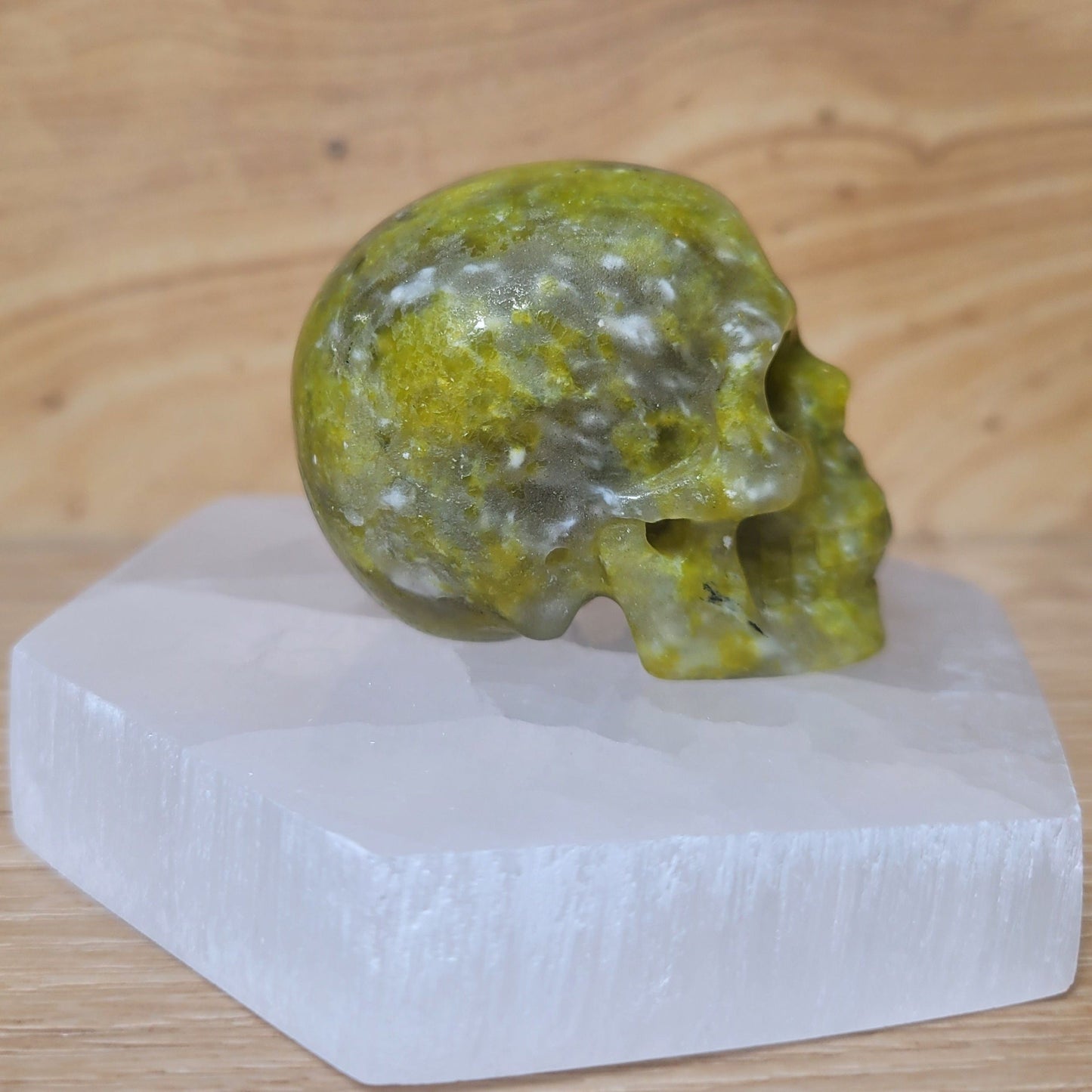 Serpentine 2" Skull