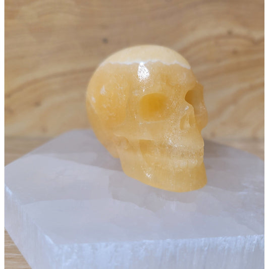 Beeswax Jade 2" Skull