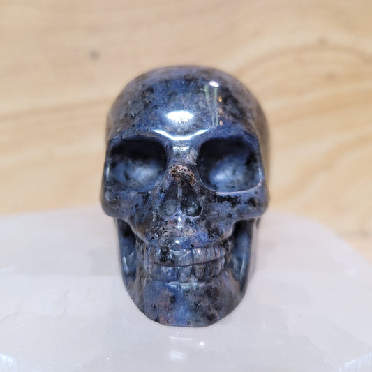 Sodalite w/ Hematite 2" Skull