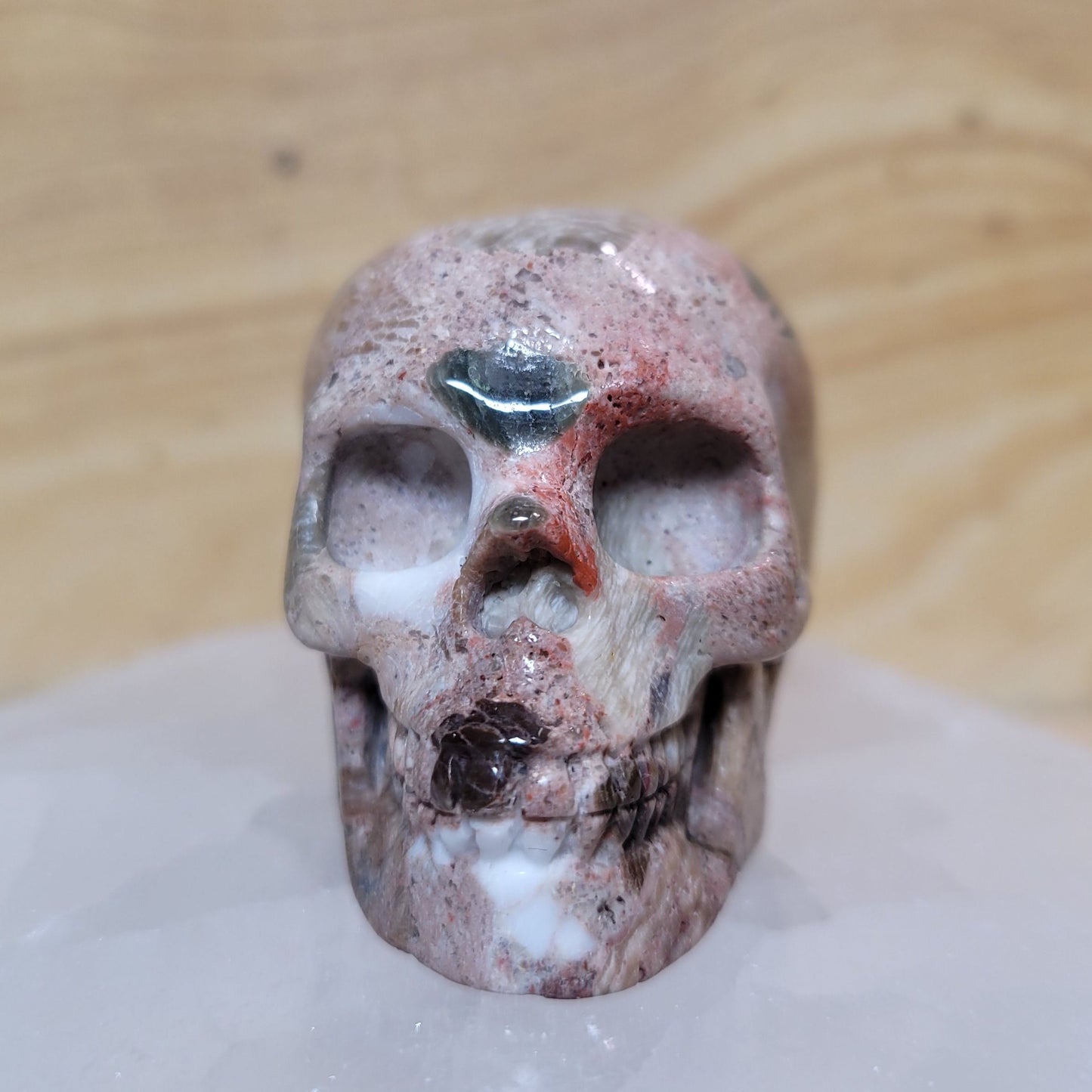 Australian Chert 2" Skull