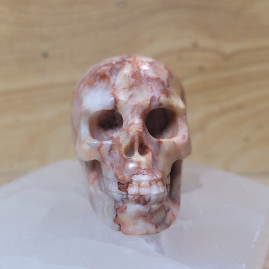 Red Network Jasper 2" Skull