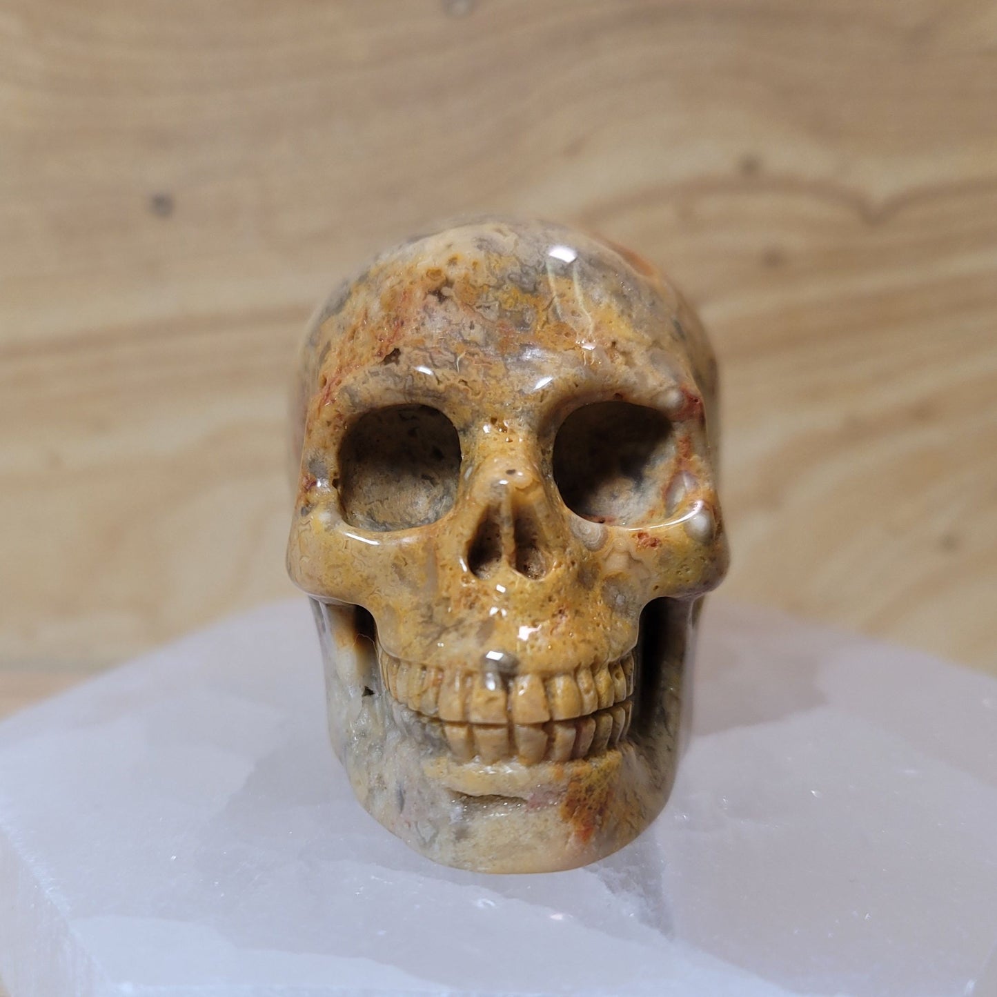 Crazy Lace Agate 2" Skull