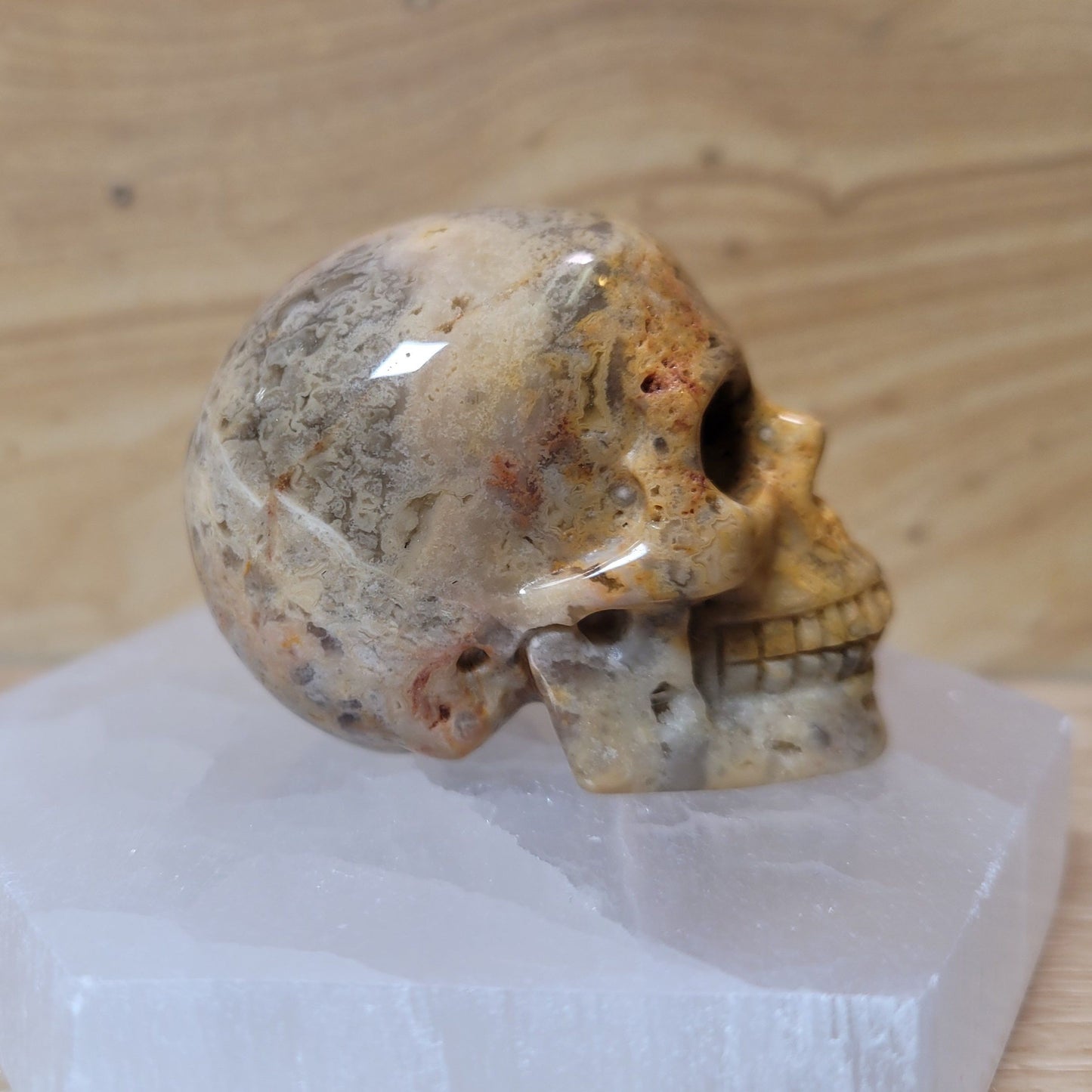 Crazy Lace Agate 2" Skull