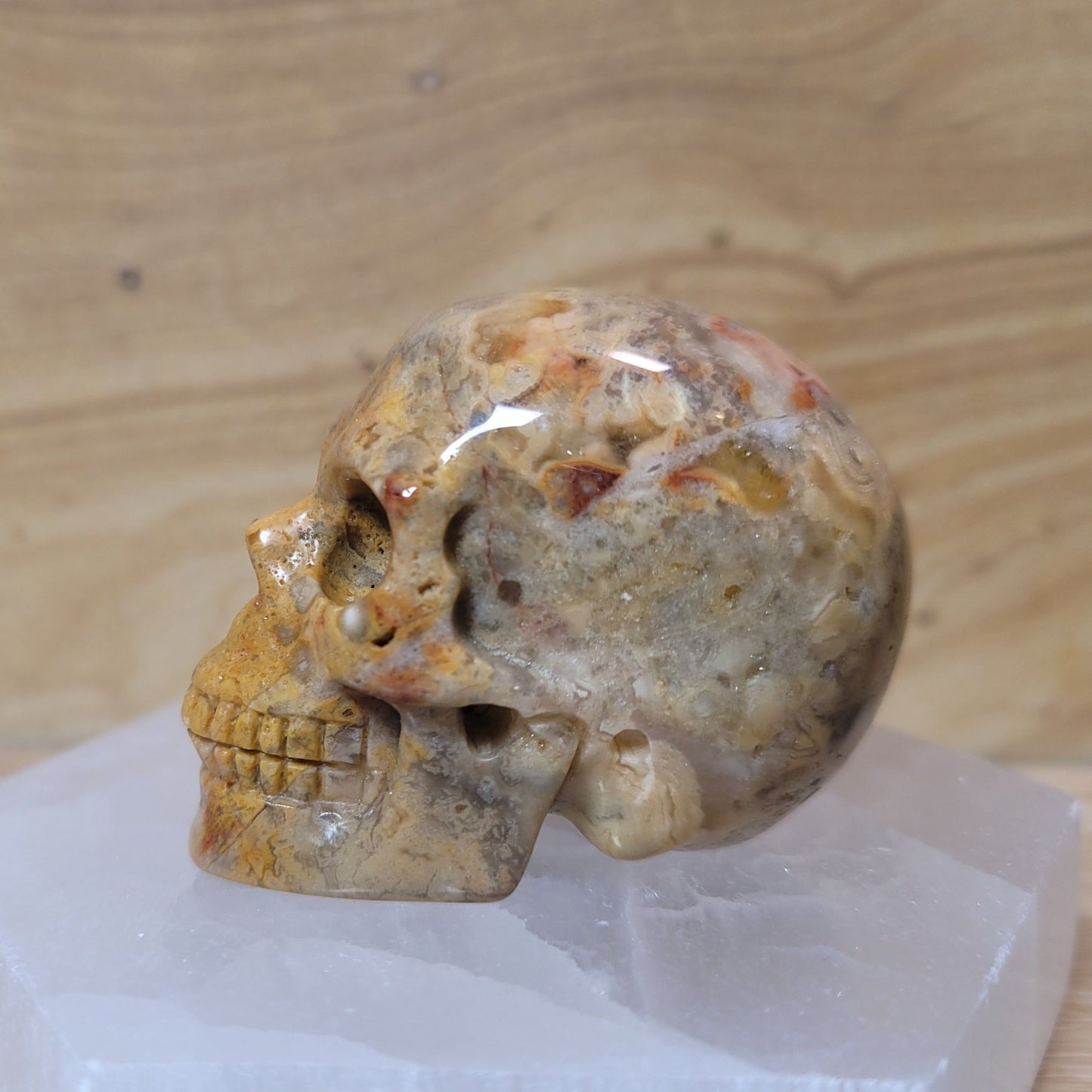 Crazy Lace Agate 2" Skull