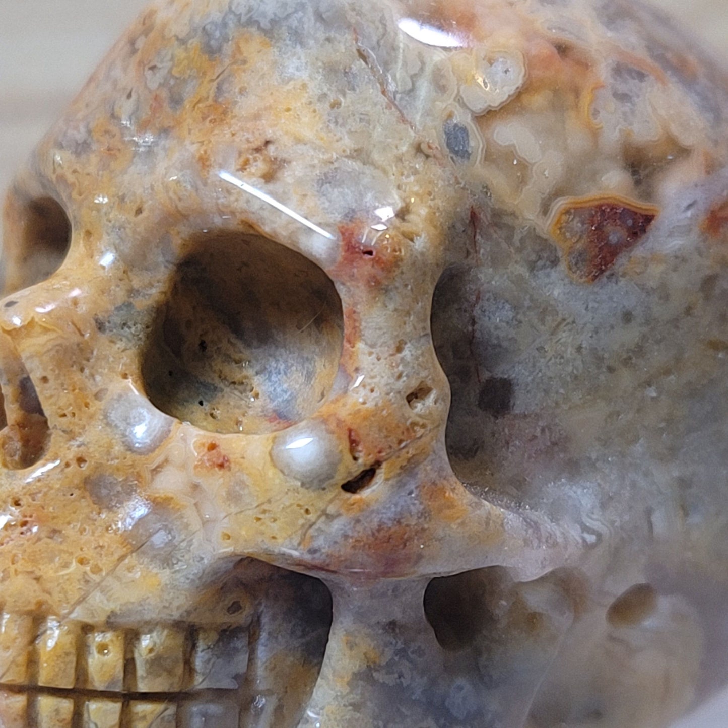 Crazy Lace Agate 2" Skull