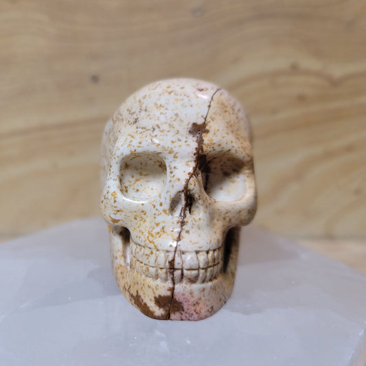 Picture Jasper 2" Skull