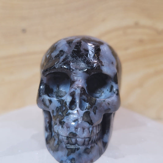 Indigo Gabbro 2" Skull