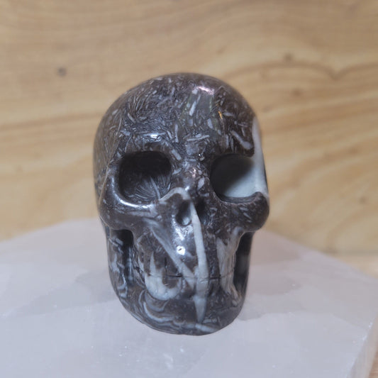 Fossil Stone 2" Skull