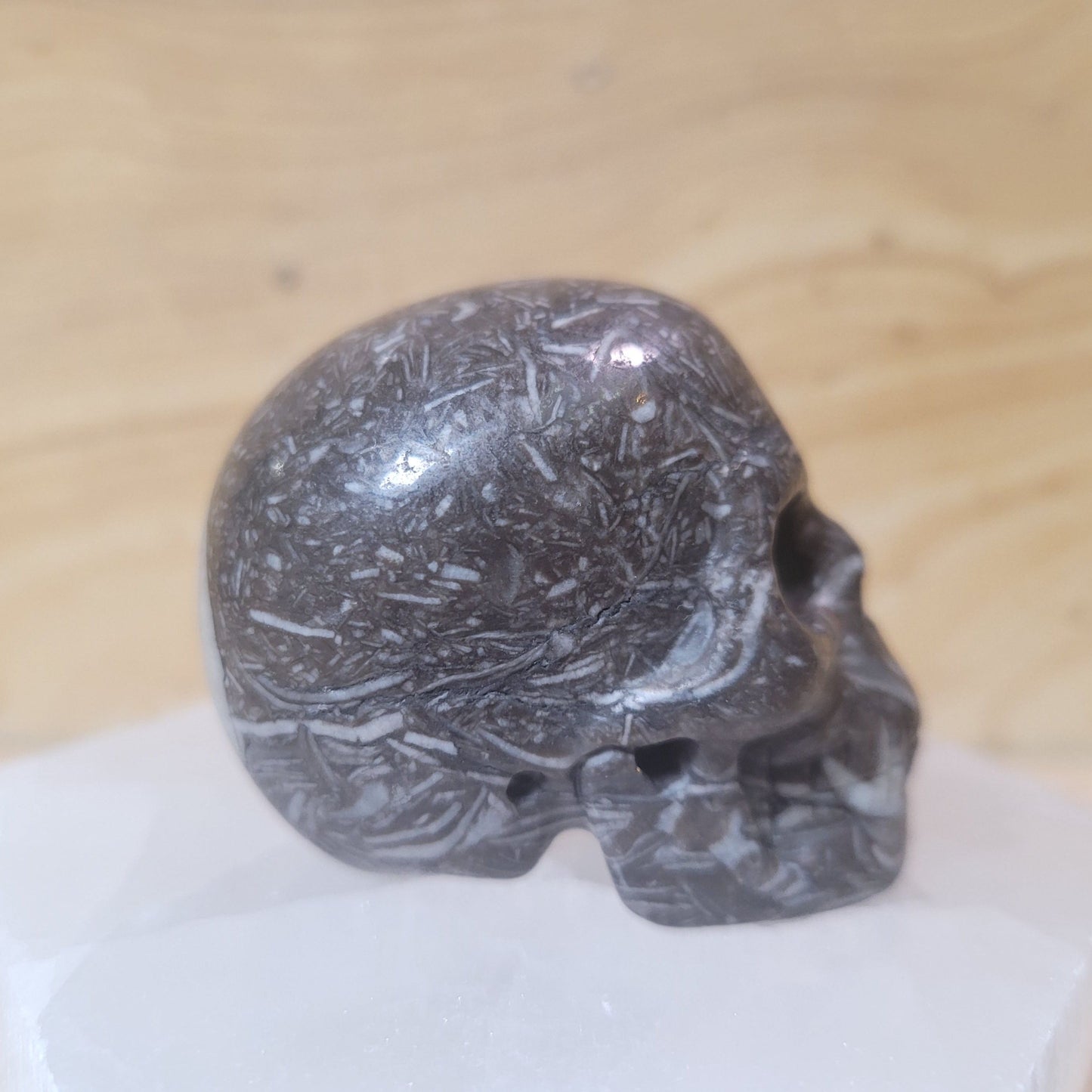 Fossil Stone 2" Skull