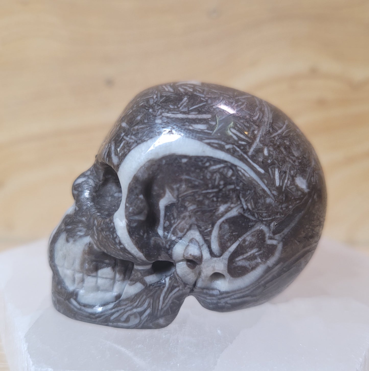 Fossil Stone 2" Skull