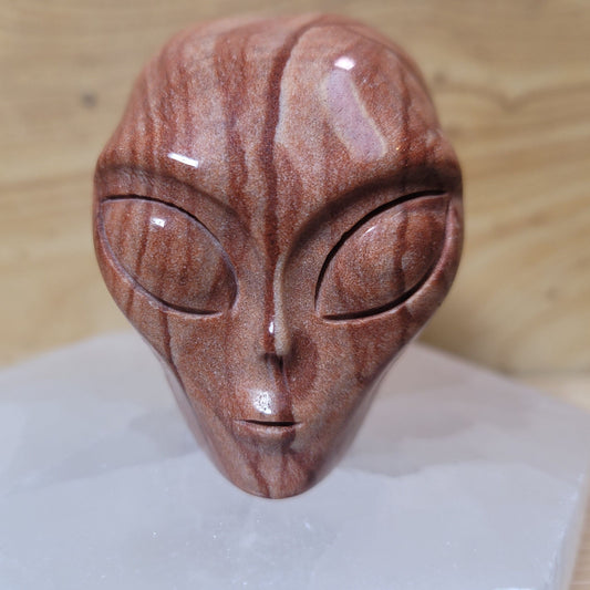 Picture Jasper 2" Alien