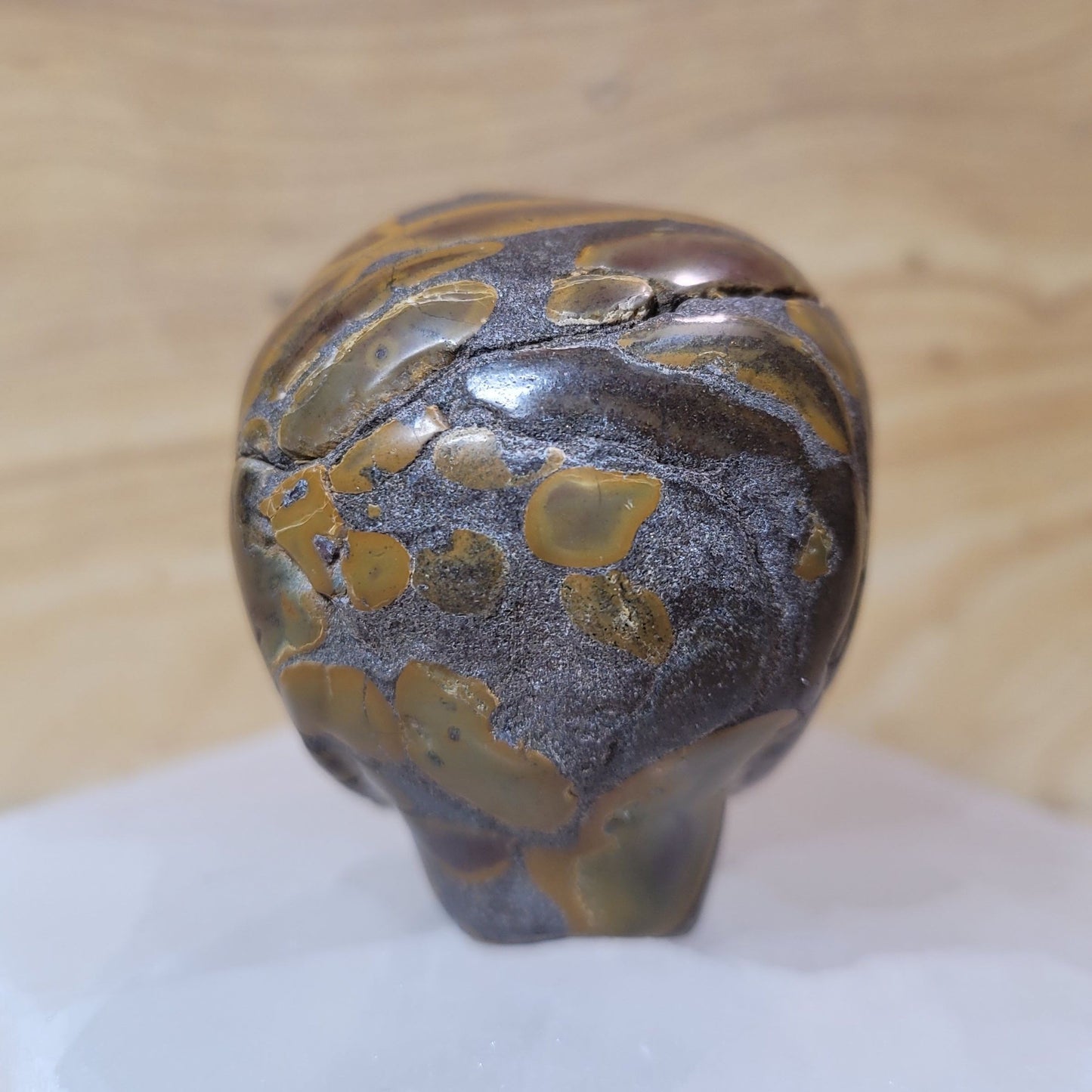 Bamboo Jasper 2" Alien