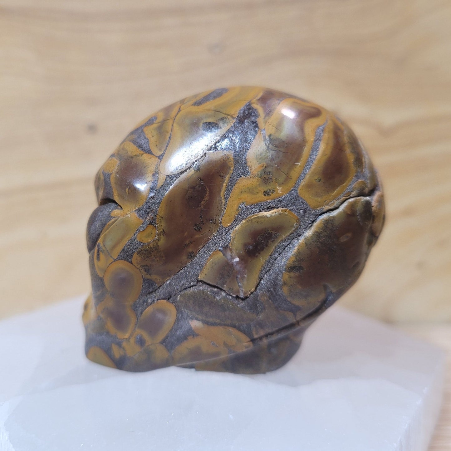 Bamboo Jasper 2" Alien