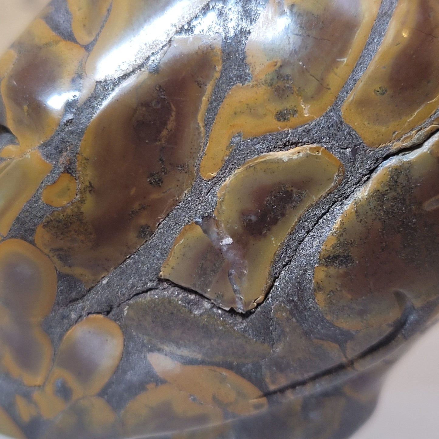 Bamboo Jasper 2" Alien